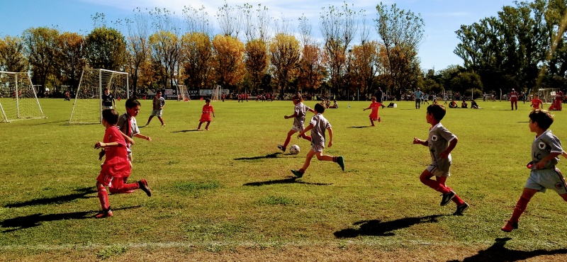 Nueva Edición de nuestro tradicional Encuentro de Cebollitas
