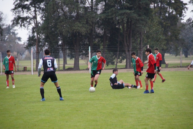 Convocados a entrenamientos de la Selección
