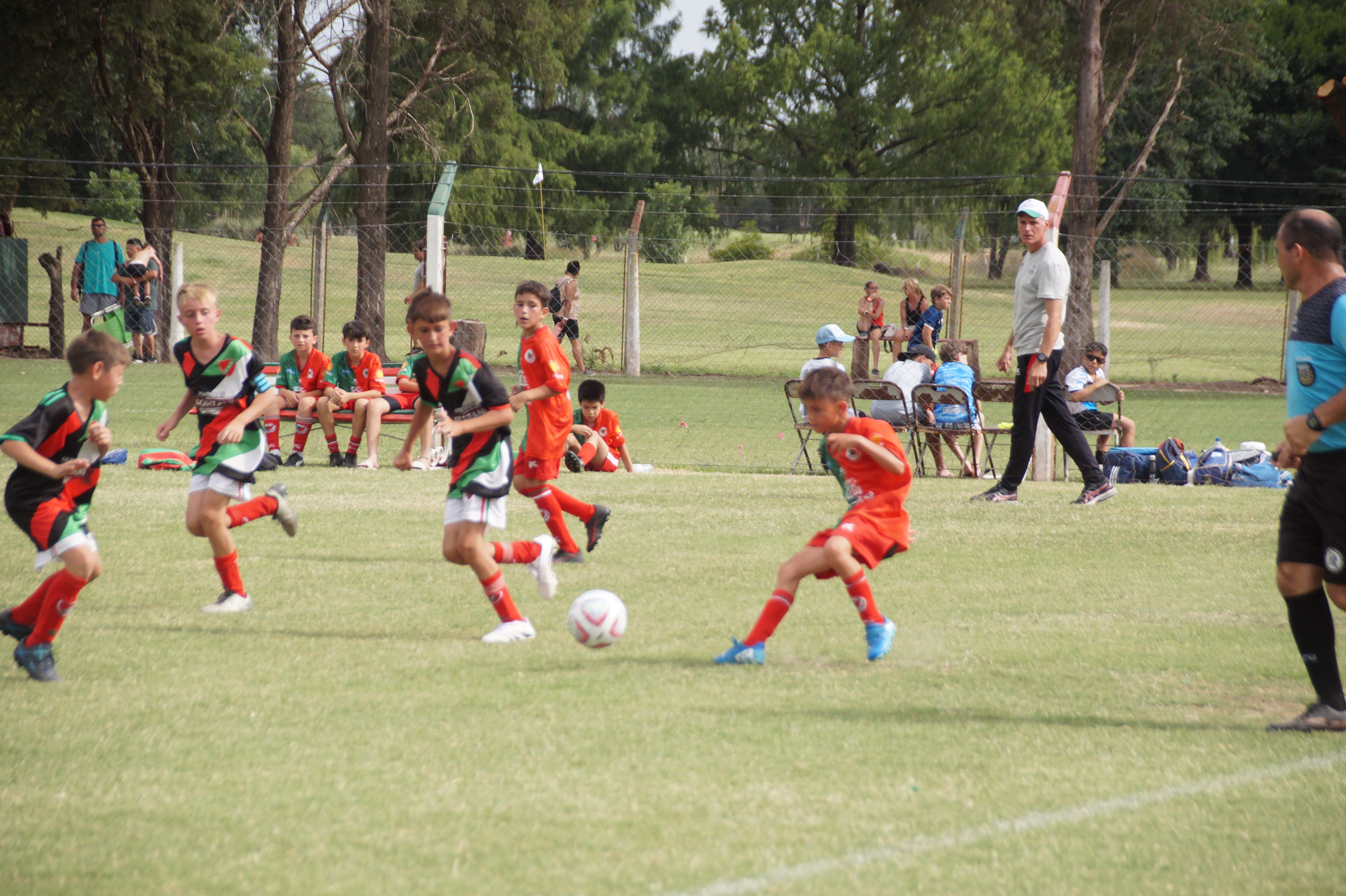 Torneo promesas